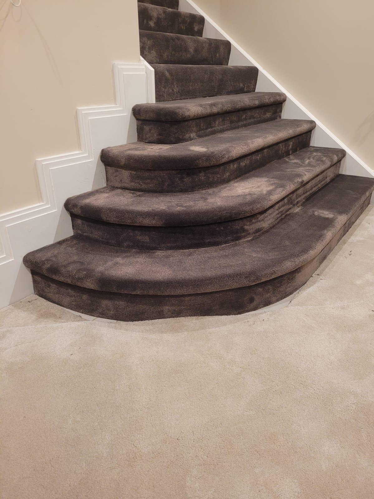 professional carpet cleaning